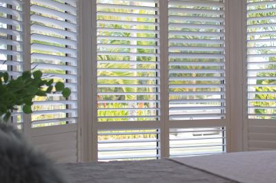 Window Blinds Installation in Longmont, CO