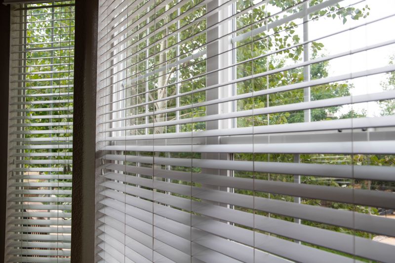 Window Blinds Installation in Longmont, CO